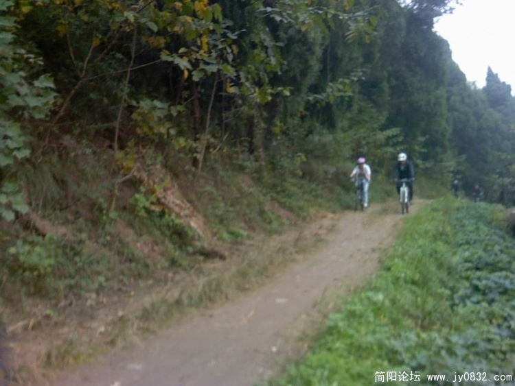 IMAG0219.jpg