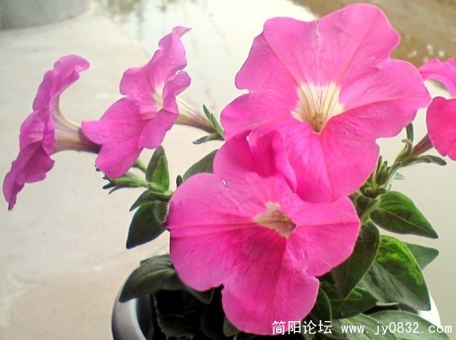 未命名.jpg