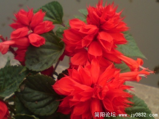 未命名1.jpg