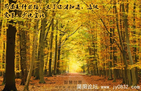 20101028-1.jpg