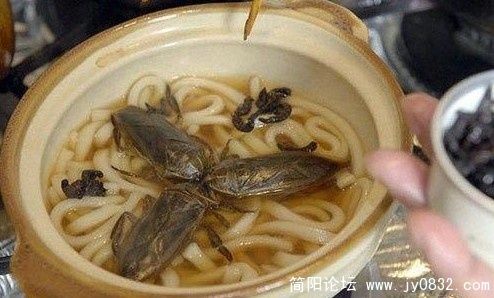 虫面条.jpg