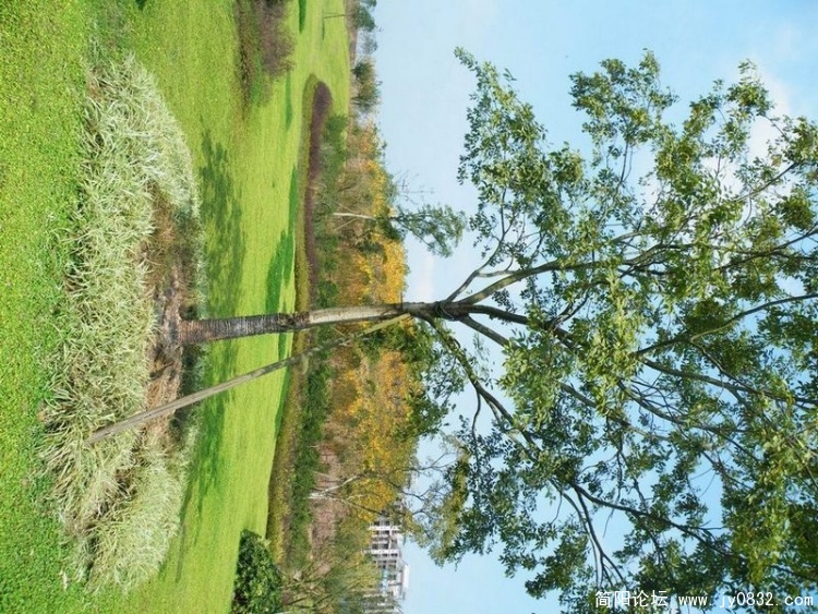 DSCF1939.JPG