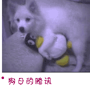 1.gif