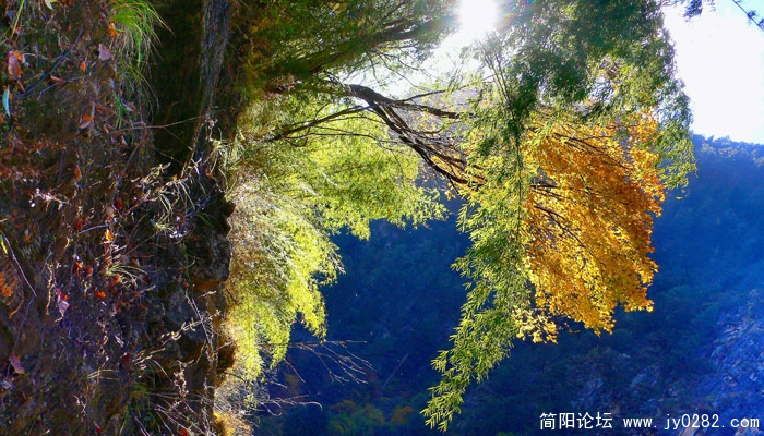 P1180591  拷贝.jpg