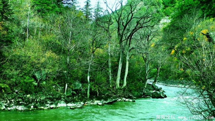 P1180787  拷贝.jpg
