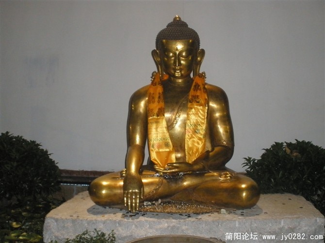 53.jpg