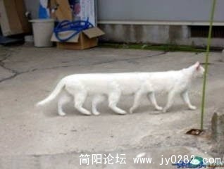 未命名.jpg