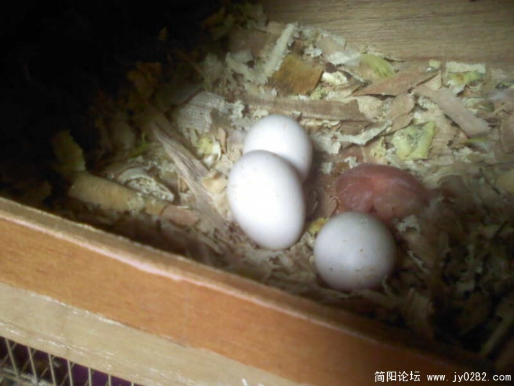 照片0105A.jpg
