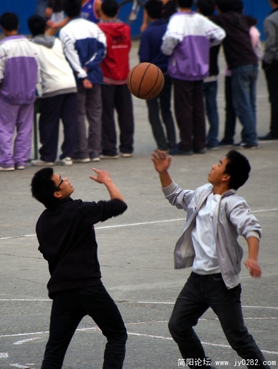 IMGP6155.jpg