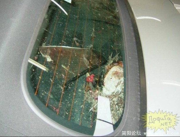 QQ截图未命名1.jpg
