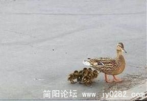 如此母亲1.jpg