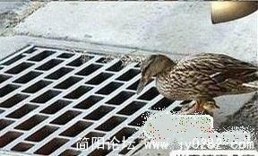 如此母亲3.jpg