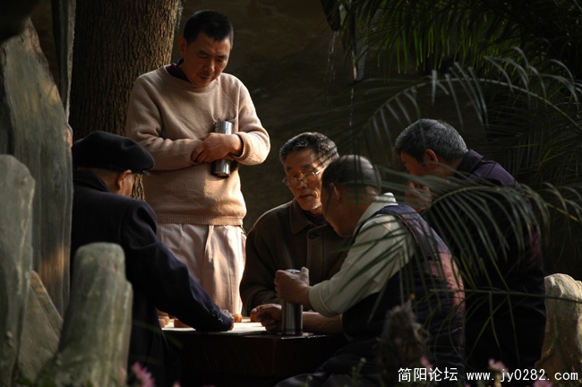 旁观者清 (2).jpg