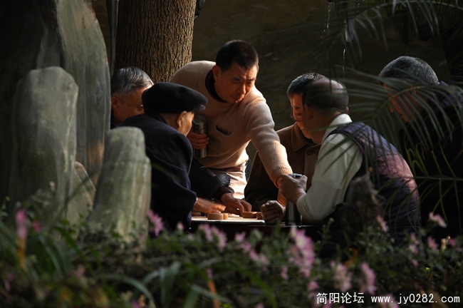 旁观者清 (3).jpg