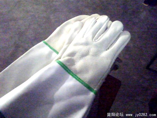 图片 006.jpg