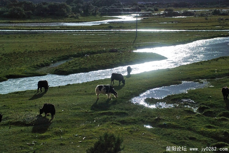 然乌湖风光六.jpg