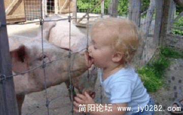 初吻.gif