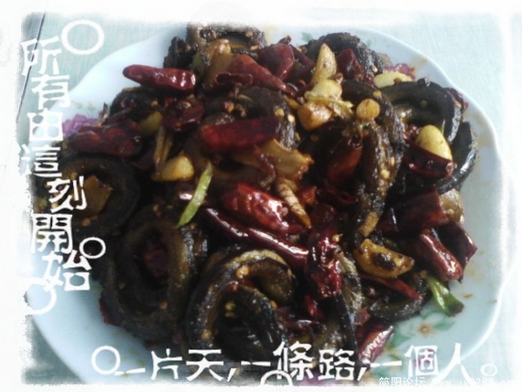盘龙黄鳝1