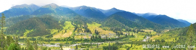 鲁朗林海风光（1554X400全景图）.JPG