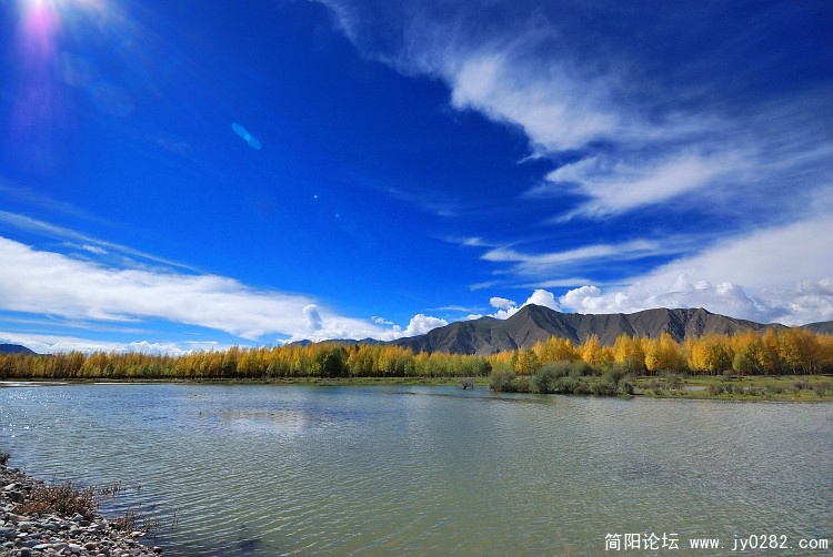 蓝天、白云、黄叶，美得一塌糊涂(S10-20拍)。.jpg
