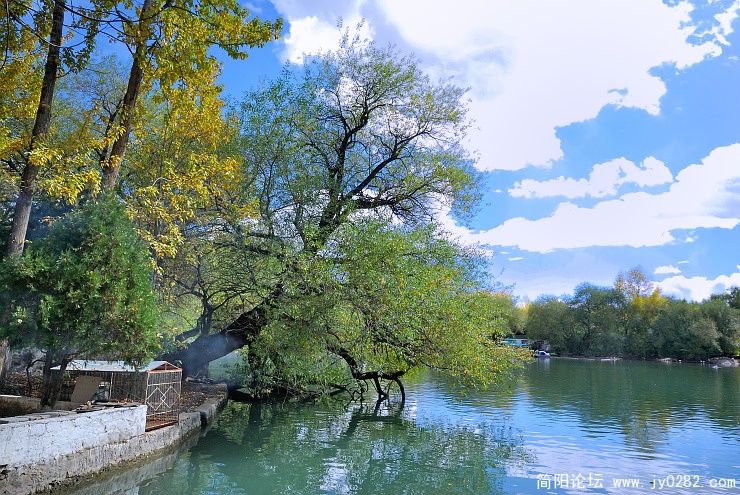 在以“桃柳鸣春”为主题的湖心岛上.jpg