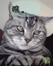 12.gif