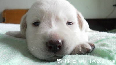 SAM_0187.jpg