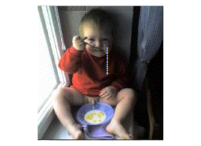 6.gif