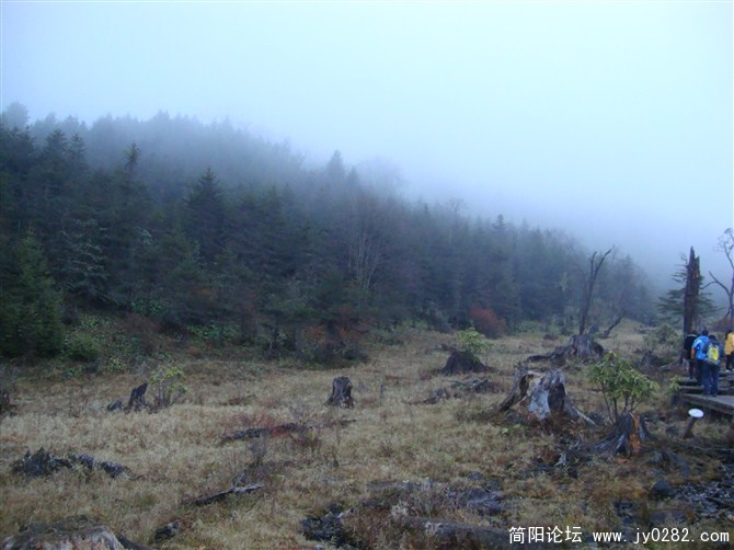 天然盆景·.jpg