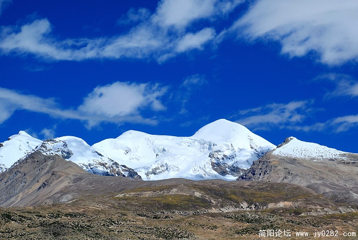 DSC_6060C.jpg