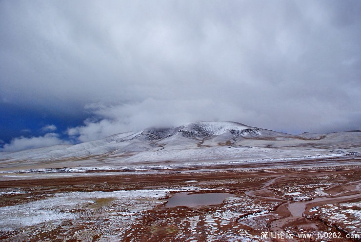 DSC_6231.jpg