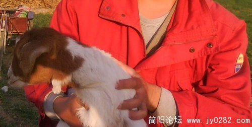 DSC00117.jpg