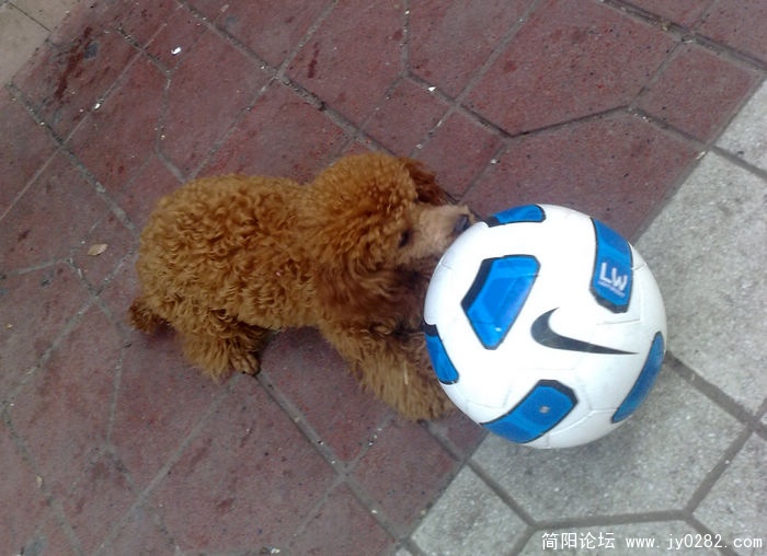 201011217666.jpg