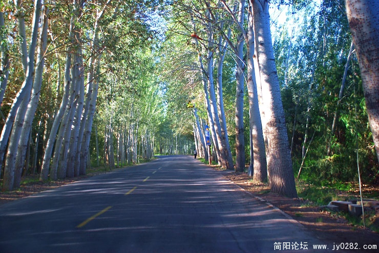 到沙漠中莫高窟的路居然如此美丽！.jpg