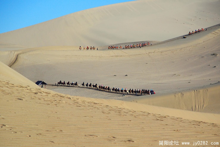 大漠驼铃.jpg