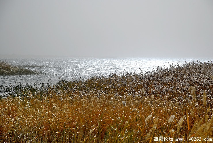 居延海的风大得人都站不稳，根本无法照相游玩了.jpg