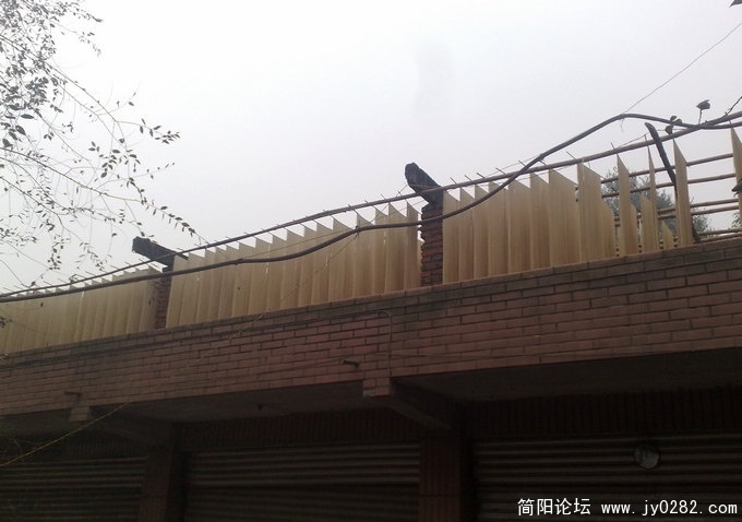 201011267848.jpg