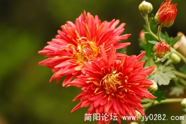 DSC_0366 拷贝.jpg