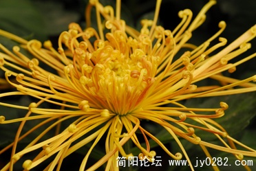 DSC_0355 拷贝.jpg