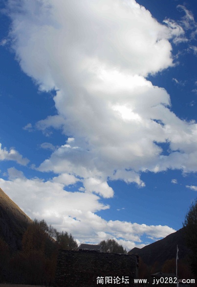 DSC_0157   拷贝.jpg