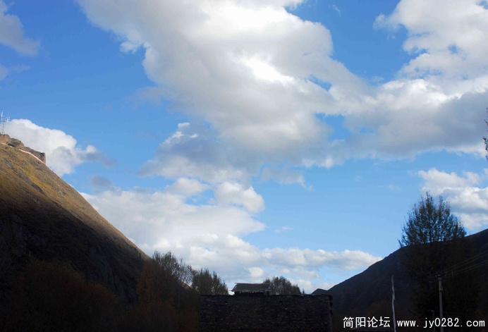 DSC_0159  拷贝.jpg