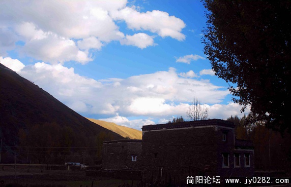 DSC_0176   拷贝.jpg