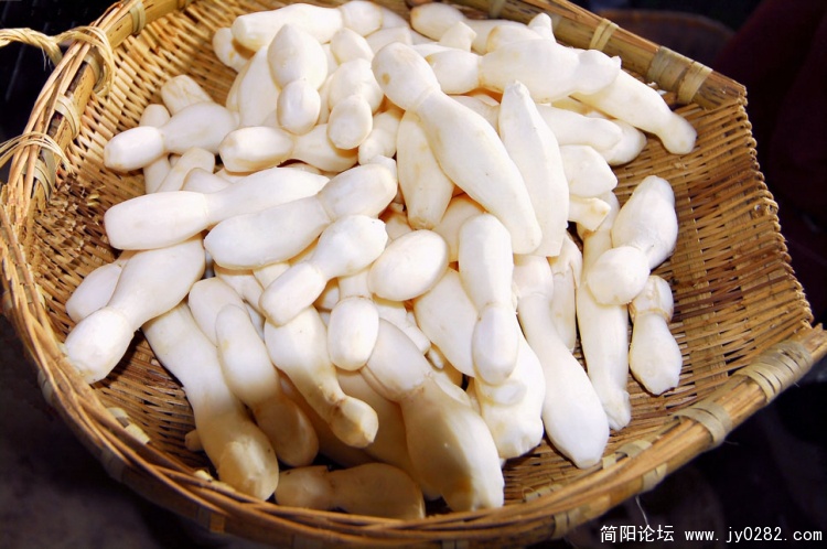 _DSC1930  拷贝.jpg