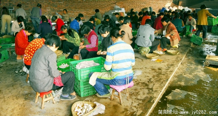 _DSC1943  拷贝.jpg