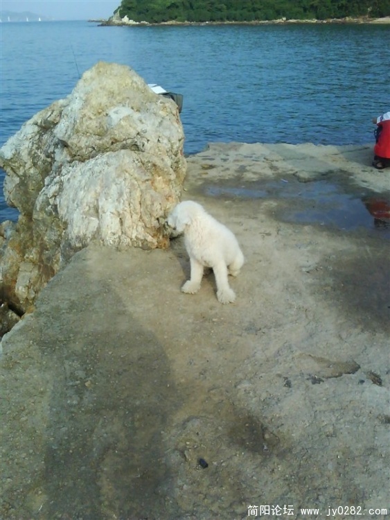 在海边.jpg