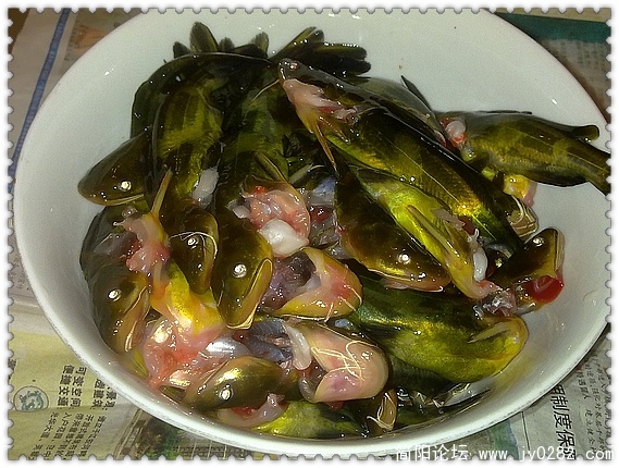 20101206085.jpg