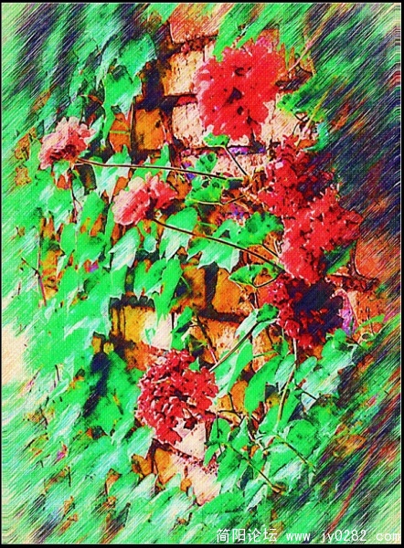 写生画.jpg