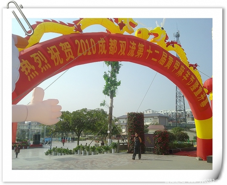 20101208106.jpg