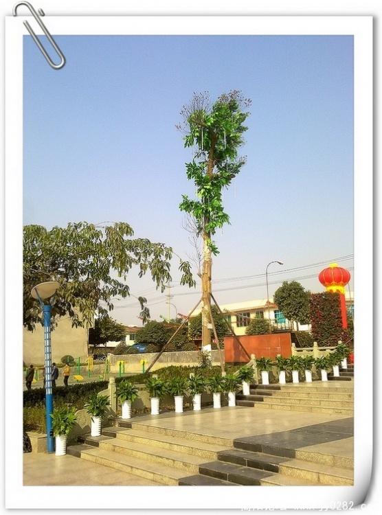 20101208103.jpg