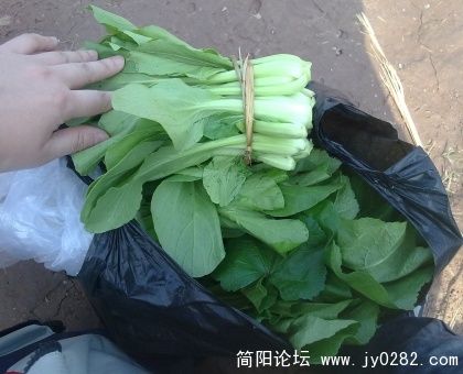 20101030081.jpg